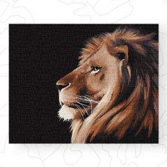 Tiere