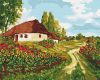 Painting by numbers - Through the Ukrainian footpaths 