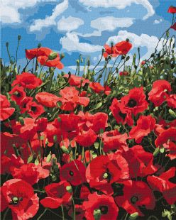 Malen nach Zahlen - Erstaunliche Mohnblumen