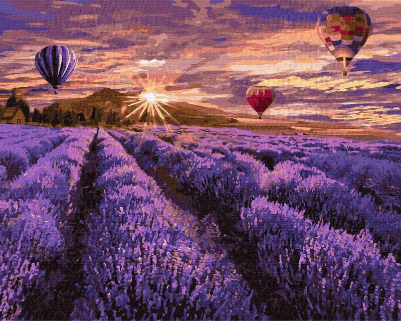 Malen nach Zahlen - Blühender Lavendel