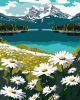 Painting by numbers - Blooming daisies ©art_selena_ua
