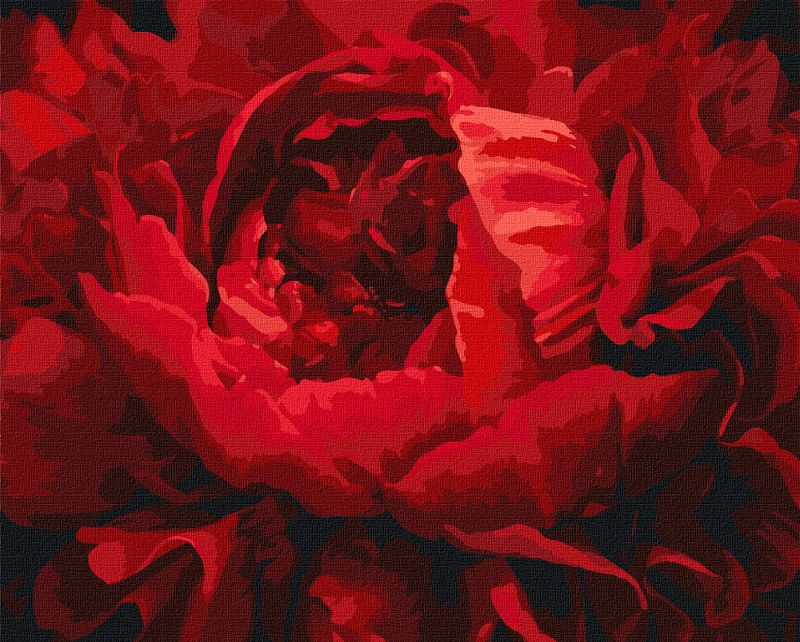 Malen nach Zahlen - Exquisite Blume