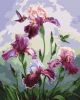 Painting by numbers - Song of summer ©annasteshka