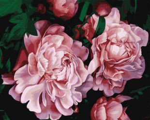 Malen nach Zahlen - Üppige Blüte ©Popova Josephine