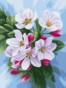 Malen nach Zahlen - Blüte des Apfelbaums ©annasteshka