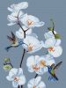 Painting by numbers - Blooming orchids ©annasteshka