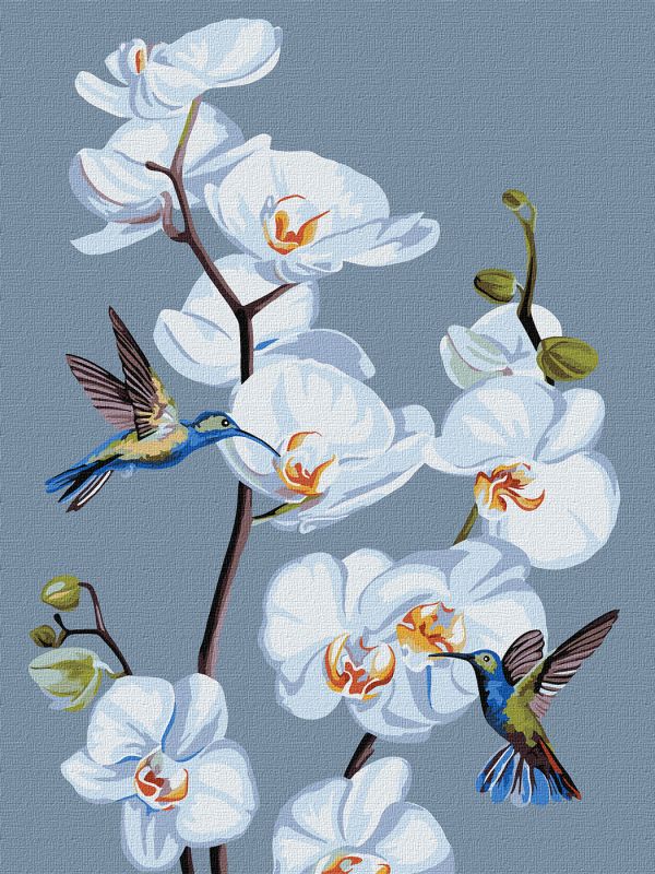 Painting by numbers - Blooming orchids ©annasteshka
