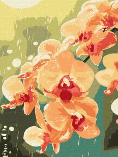Malen nach Zahlen - Orchidee in Tropfen ©art_selena_ua