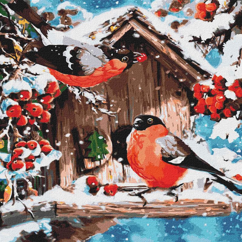 Malen nach Zahlen - Helle Schneeschuhe