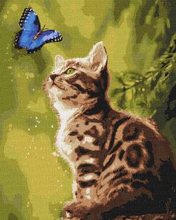 Malen nach Zahlen - Geheimnisvoller Schmetterling