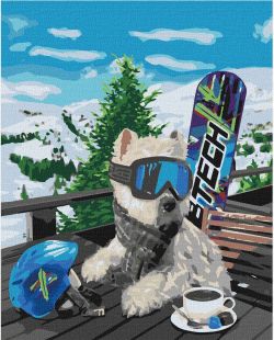 Malen nach Zahlen - Snowboarder