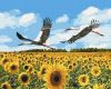 Malen nach Zahlen - Störche im Himmel