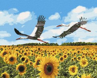 Malen nach Zahlen - Störche im Himmel