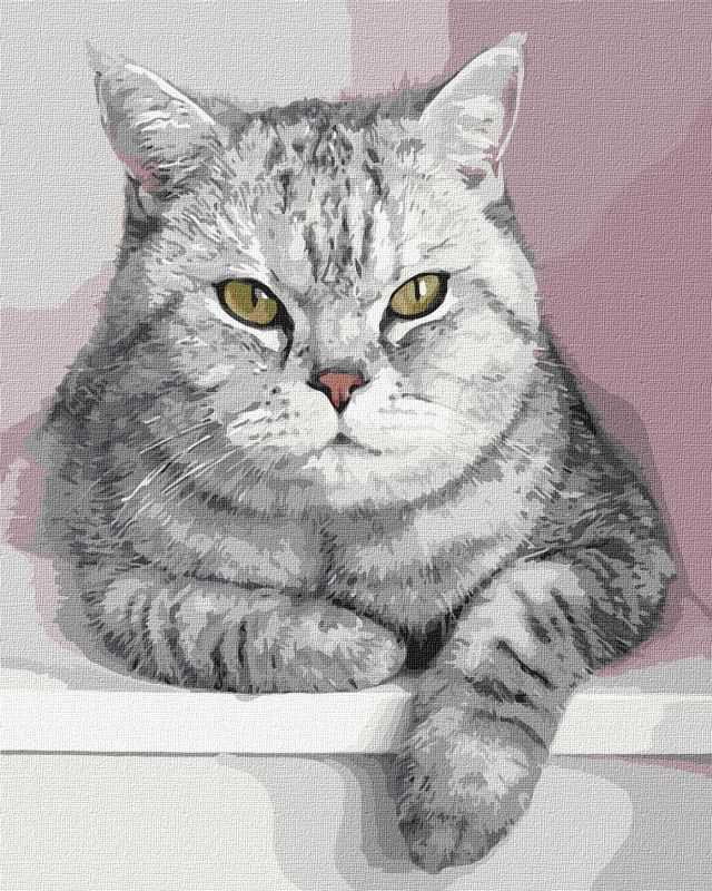 Painting by numbers - My furry friend 