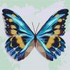 Malen nach Zahlen - Blauer Schmetterling
