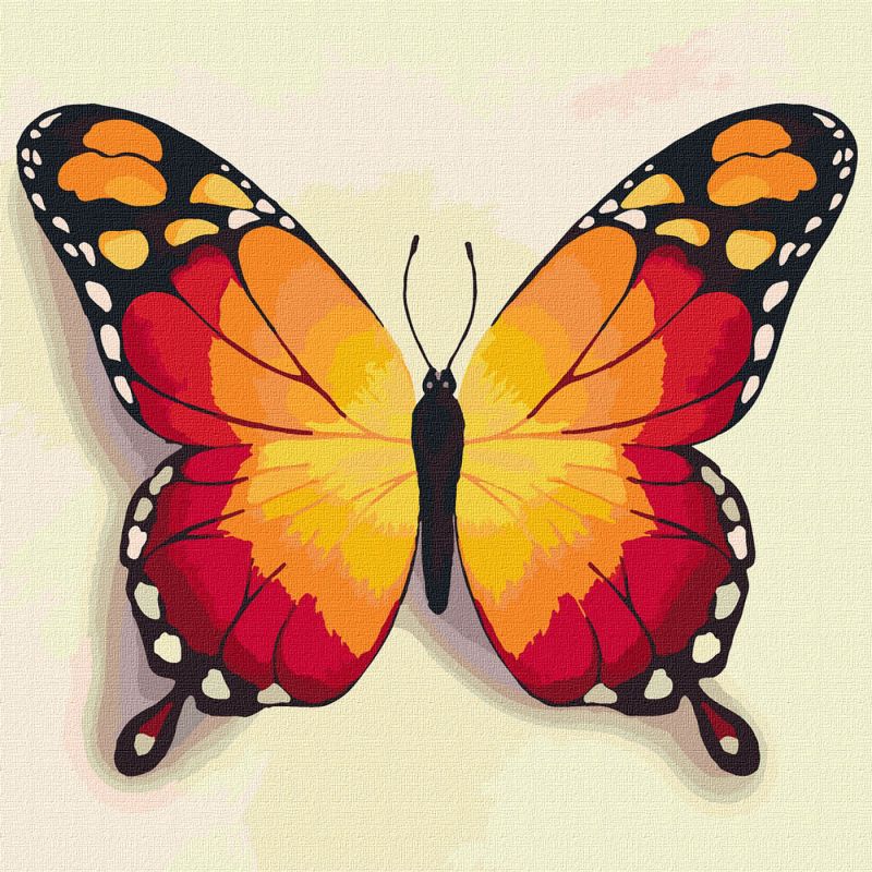 Malen nach Zahlen - Oranger Schmetterling