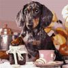 Painting by numbers - Fluffy cook