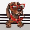Painting by numbers - Stylish dachshund