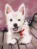 Painting by numbers - Playful puppy