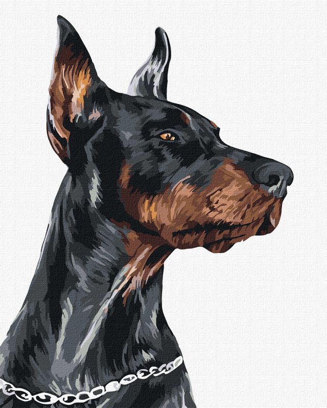 Malen nach Zahlen - Tapferer Dobermann