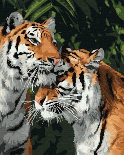 Malen nach Zahlen - Tigerliebe
