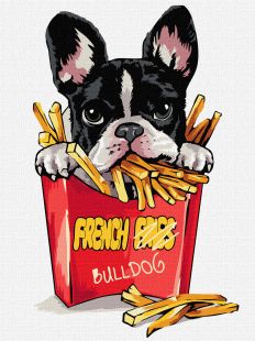 Malen nach Zahlen - Kleine Bulldogge