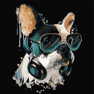 Malen nach Zahlen - Flauschiger DJ