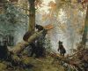 Malen nach Zahlen - Morgen in einem Kiefernwald ©I.Shyshkin und K.Savytskyi