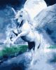 Malen nach Zahlen - Feenpegasus