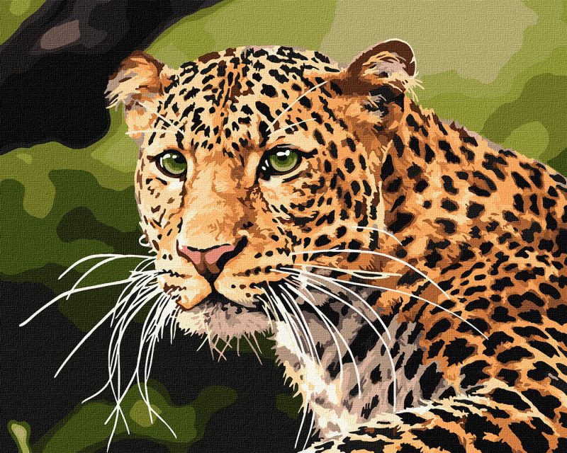 Painting by numbers - Green-eyed leopard