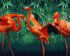 Painting by numbers - Bright tropics