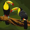 Painting by numbers - Exotic birds
