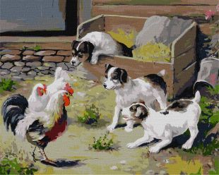 Malen nach Zahlen - Begegnung ©Alexander Zakusilov