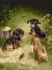 Malen nach Zahlen - Spiele der Welpen ©Carl Reichert