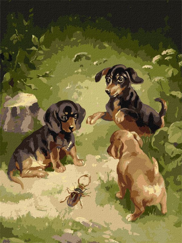 Malen nach Zahlen - Spiele der Welpen ©Carl Reichert