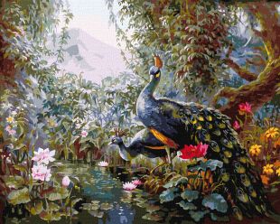 Malen nach Zahlen - Sagenhafte Pfauen ©Sergiy Lobach