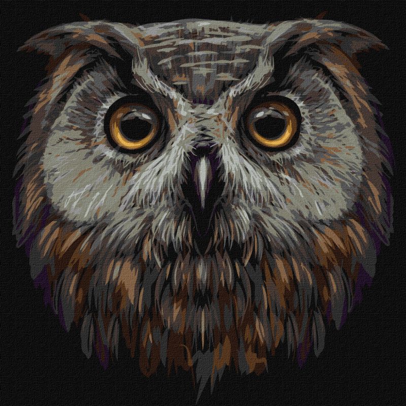 Painting by numbers - Bird of wisdom