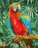 Painting by numbers - Rainbow handsome