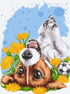 Malen nach Zahlen - Frühlingssonne ©Anna Kulyk