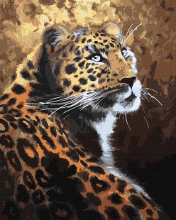 Malen nach Zahlen - Ein anmutiges Raubtier ©Svitlana Terentschuk