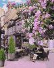 Painting by numbers - Cozy restaurant 