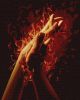 Painting by numbers - Fire between us 2 