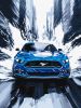 Malen nach Zahlen - Ein blauer Mustang ©art_selena_ua