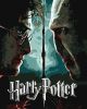 Malen nach Zahlen - Harry Potter: Harry und Voldemort mit extra Metallic-Farben ©Warner Bros.