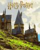 Malen nach Zahlen - Harry Potter: Hogwarts-Landschaft mit metallischen Farben ©Warner Bros.