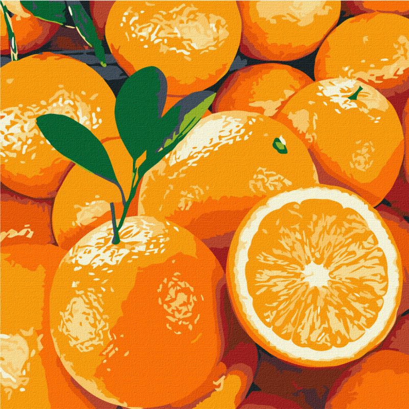Malen nach Zahlen - Saftige Orange