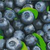 Malen nach Zahlen - Saftige Heidelbeeren