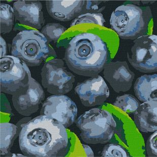 Malen nach Zahlen - Saftige Heidelbeeren