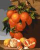 Painting by numbers - Oranges and lemons ©Antonio Mensaque