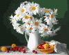 Painting by numbers - Chamomile beauty